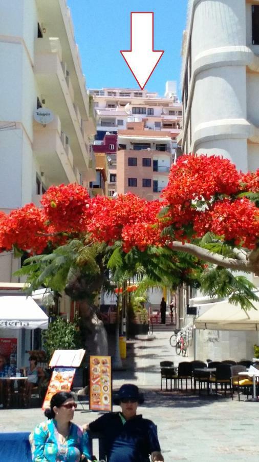 Ocean View Cactus I , Over Los Cristianos, Playa Las Vistas ロスクリスティアーノス エクステリア 写真